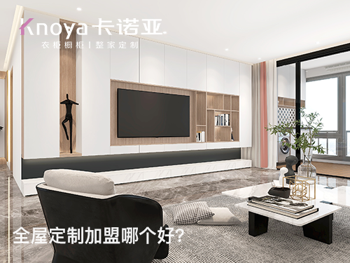 2023年江蘇全屋定製加盟哪家好？