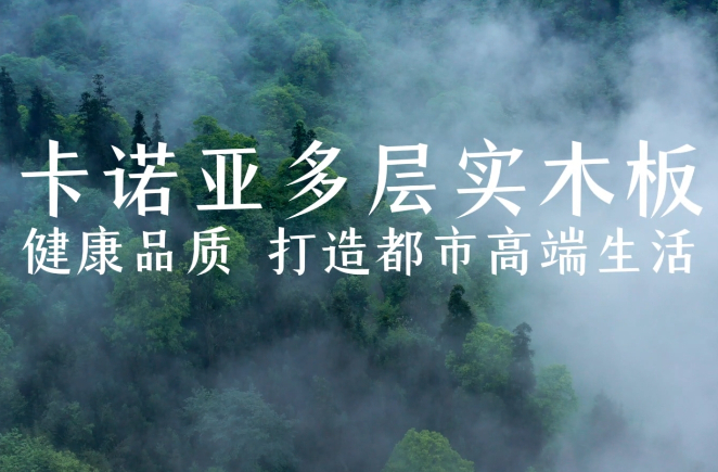 91看片软件下载多層實木板，環保品質再升級