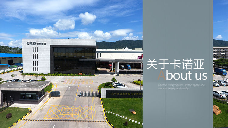 關於91看片软件下载